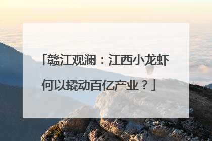 赣江观澜：江西小龙虾何以撬动百亿产业？