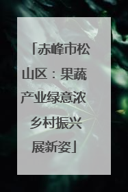 赤峰市松山区：果蔬产业绿意浓 乡村振兴展新姿