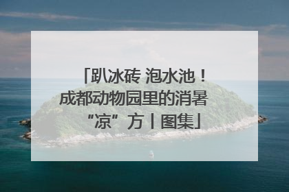 趴冰砖 泡水池！成都动物园里的消暑“凉”方丨图集