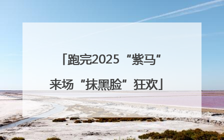 跑完2025“紫马” 来场“抹黑脸”狂欢
