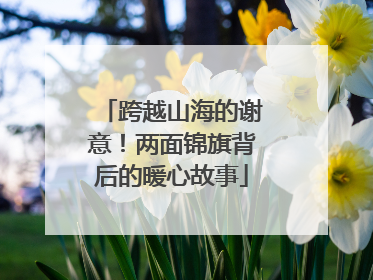 跨越山海的谢意！两面锦旗背后的暖心故事