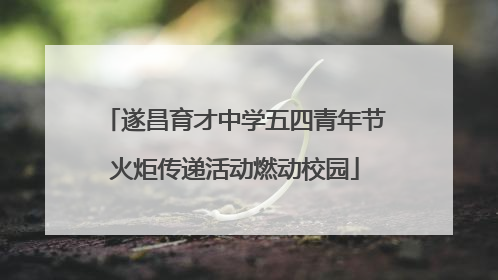 遂昌育才中学五四青年节火炬传递活动燃动校园