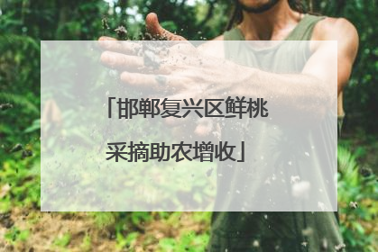 邯郸复兴区鲜桃采摘助农增收