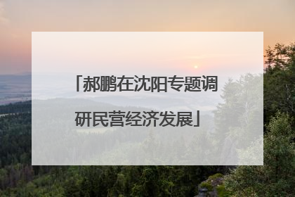 郝鹏在沈阳专题调研民营经济发展
