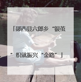 郧西县六郎乡“银茧”织就振兴“金路”