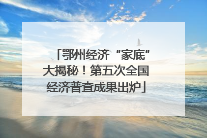 鄂州经济“家底”大揭秘！第五次全国经济普查成果出炉