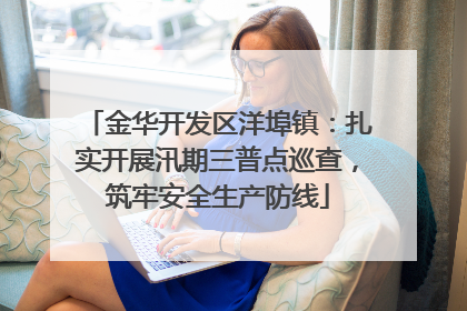 金华开发区洋埠镇：扎实开展汛期三普点巡查，筑牢安全生产防线