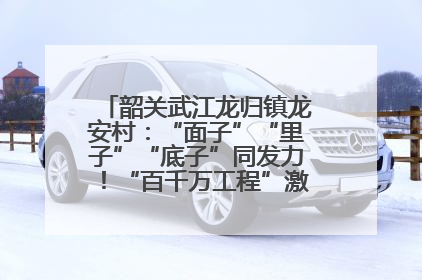 韶关武江龙归镇龙安村：“面子”“里子”“底子”同发力！“百千万工程”激活乡村新动能