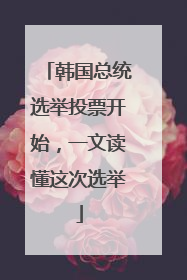 韩国总统选举投票开始，一文读懂这次选举