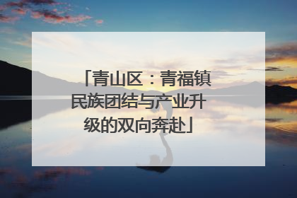 青山区：青福镇民族团结与产业升级的双向奔赴