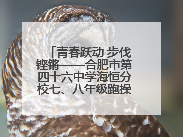 青春跃动 步伐铿锵——合肥市第四十六中学海恒分校七、八年级跑操比赛圆满落幕