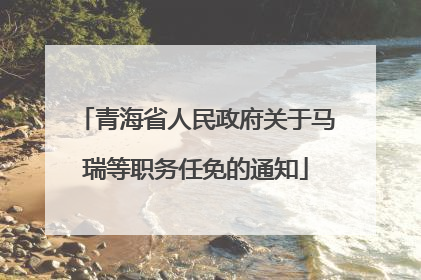 青海省人民政府关于马瑞等职务任免的通知