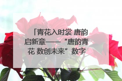 青花入时裳 唐韵启新章——“唐韵青花 数创未来”数字文创设计大赛启幕