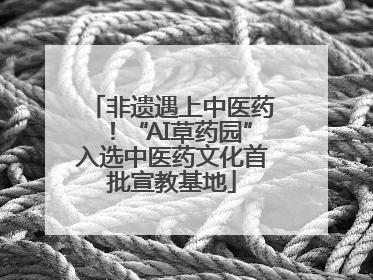 非遗遇上中医药！“AI草药园”入选中医药文化首批宣教基地