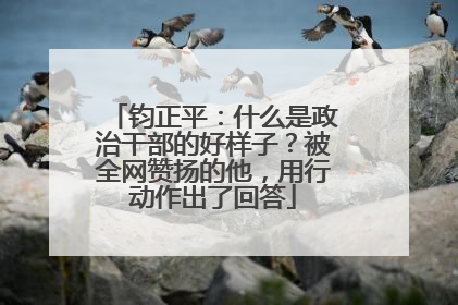 钧正平：什么是政治干部的好样子？被全网赞扬的他，用行动作出了回答