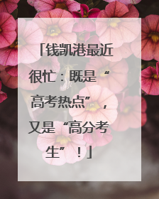钱凯港最近很忙：既是“高考热点”，又是“高分考生”！