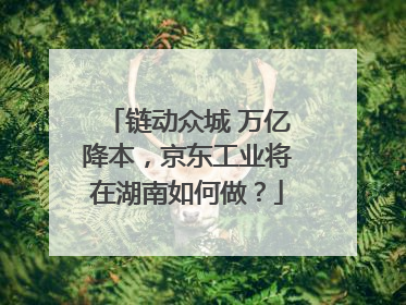 链动众城 万亿降本，京东工业将在湖南如何做？