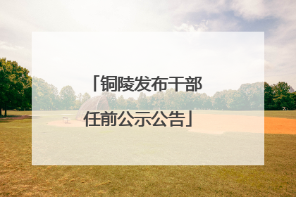 铜陵发布干部任前公示公告
