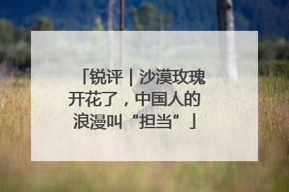 锐评｜沙漠玫瑰开花了，中国人的浪漫叫“担当”