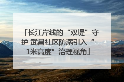 长江岸线的“双堤”守护 武昌社区防溺引入“1米高度”治理视角