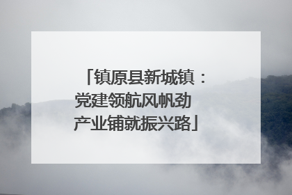 镇原县新城镇：党建领航风帆劲 产业铺就振兴路