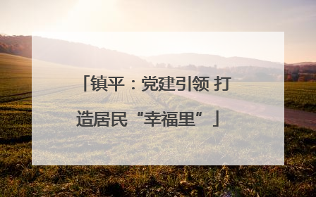 镇平：党建引领 打造居民“幸福里”