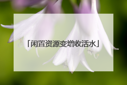 闲置资源变增收活水