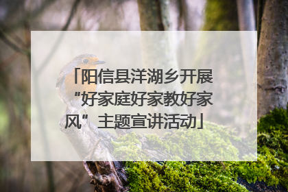 阳信县洋湖乡开展“好家庭好家教好家风”主题宣讲活动