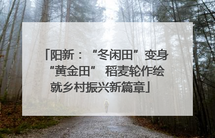 阳新：“冬闲田”变身“黄金田” 稻麦轮作绘就乡村振兴新篇章