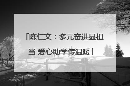 陈仁文：多元奋进显担当 爱心助学传温暖