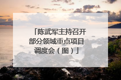陈武军主持召开部分领域重点项目调度会（图）