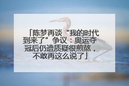 陈梦再谈“我的时代到来了”争议：奥运夺冠后仍遭质疑很煎熬，不敢再这么说了