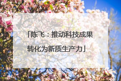 陈飞：推动科技成果转化为新质生产力