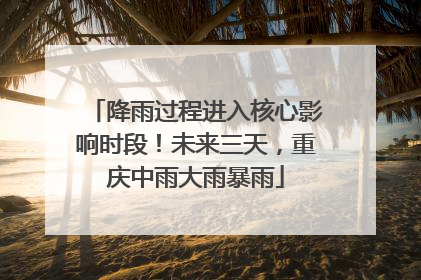 降雨过程进入核心影响时段！未来三天，重庆中雨大雨暴雨