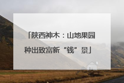 陕西神木：山地果园种出致富新“钱”景