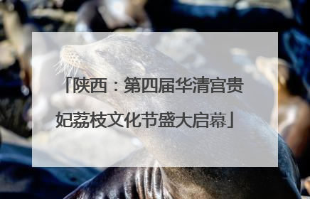 陕西：第四届华清宫贵妃荔枝文化节盛大启幕