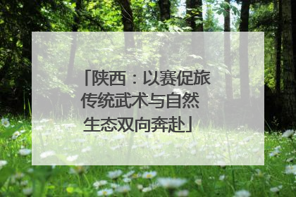 陕西：以赛促旅 传统武术与自然生态双向奔赴
