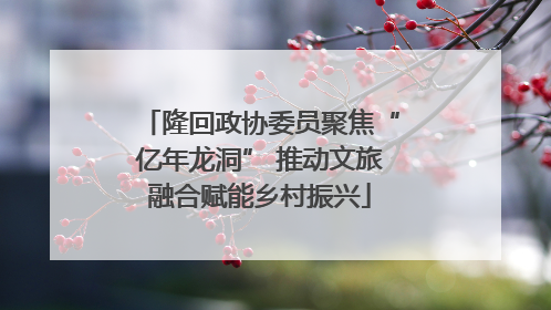 隆回政协委员聚焦“亿年龙洞” 推动文旅融合赋能乡村振兴