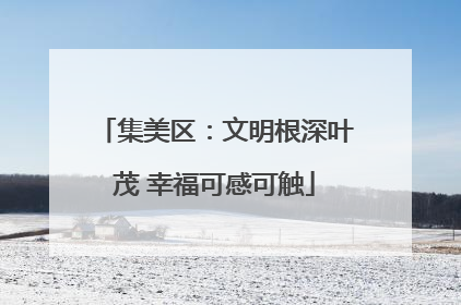集美区：文明根深叶茂 幸福可感可触