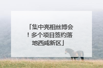 集中亮相丝博会！多个项目签约落地西咸新区