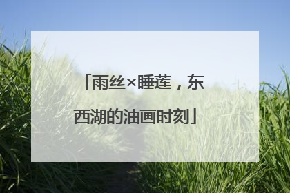 雨丝×睡莲，东西湖的油画时刻