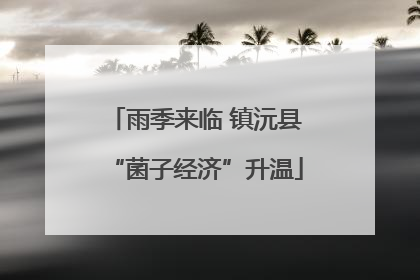 雨季来临 镇沅县“菌子经济”升温