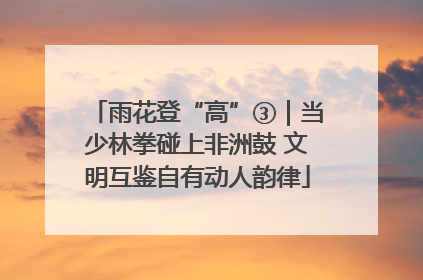 雨花登“高”③｜当少林拳碰上非洲鼓 文明互鉴自有动人韵律