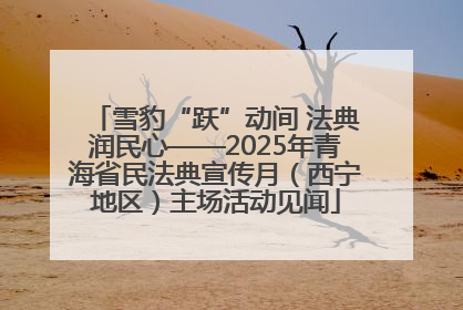 雪豹“跃”动间 法典润民心——2025年青海省民法典宣传月（西宁地区）主场活动见闻