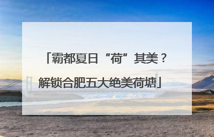 霸都夏日“荷”其美？解锁合肥五大绝美荷塘