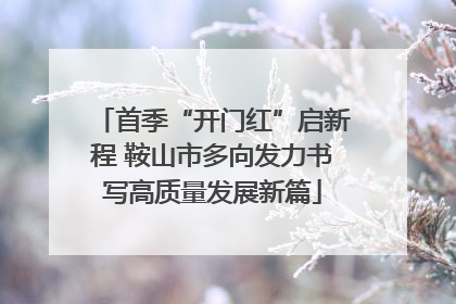 首季“开门红”启新程 鞍山市多向发力书写高质量发展新篇