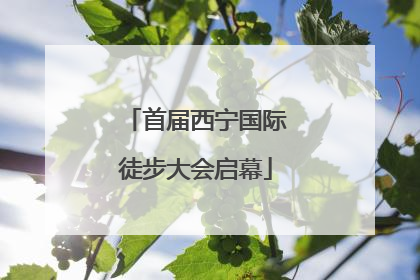 首届西宁国际徒步大会启幕