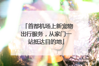 首都机场上新宠物出行服务，从家门一站抵达目的地