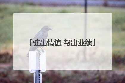 驻出情谊 帮出业绩
