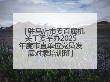 驻马店市委直属机关工委举办2025年度市直单位党员发展对象培训班